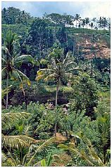 Gunung Kawi liegt in einem herrlichen Tal mit steilen Reisterrassen