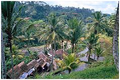 Gunung Kawi liegt in einem herrlichen Tal mit steilen Reisterrassen