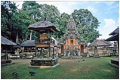 Ubud: Monkey Forest - Affentempel