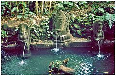 Ubud - Monkey Forest: heiligen Quelle