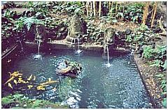 Ubud - Monkey Forest: heiligen Quelle