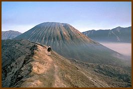 Kraterrand des Bromo, dahinter Mt. Batur