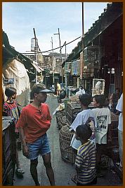 Yogyakarta -  Vogelmarkt (Pasar Ngasem)