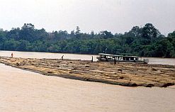 Holzflo auf dem Mahakam