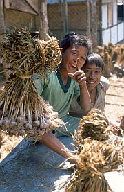 Jungen mit Zwiebeln in Sembalun