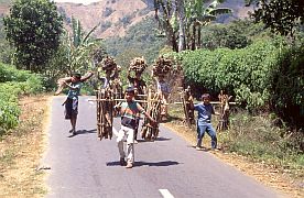Mdchen transportieren Brennholz
