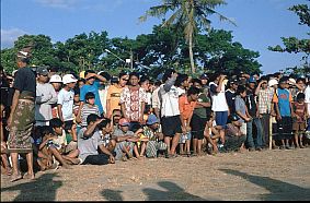 Mataram: Zuschauer beim Peresehan-Kampf