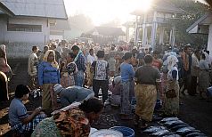Tanjung Luar: Menschenmenge auf dem Fischmarkt
