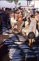 Tanjung Luar: Fischmarkt