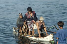 Tanjung Luar: Mnner vom Haiboot werden an Land gebracht