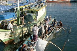 Tanjung Luar: Netz wird gereinigt auf Haifischfngerboot