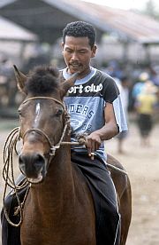 Reiter auf dem Viehmarkt in Selag Alas