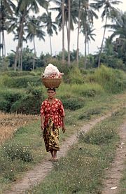 Wanderung von Punikan nach Suranadi: Frau mit hoch beladenem Korb auf dem Kopf
