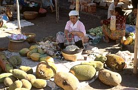 Stand mit Jackfruit auf dem Markt in Barabali