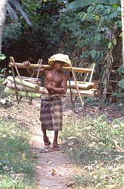 Wanderung von Aik Berik nach Aik Buka: Mann transportiert Bambusstangen