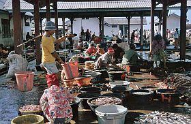 Tanjung Luar: Fischverarbeitung