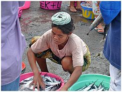 Tanjung Luar - Fischmarkt