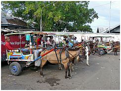 Tanjung Luar - Markt