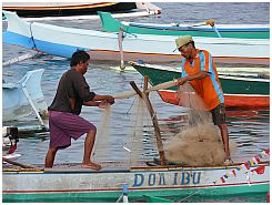 Tanjung Luar - Fischer
