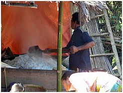 Hochzeitsvorbereitungen bei Suranadi: Jede Menge Reis