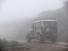 Rckfahrt nach Manokwari: Nebel auf ca. 2500 m
