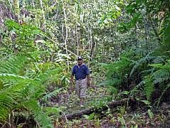 Leo auf Dschungelpfaden: Weg zum Wapsdori-Wasserfall