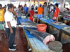Manokwari Fischmarkt (Pasar Ikan)