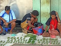 Hauptmarkt in Manokwari: Betelnsse und die Frchte des Betelpfeffers