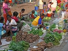 Hauptmarkt in Manokwari: Taro- und Maniokwurzeln