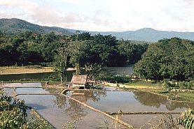 Siedlung und Reisfelder im Bada-Tal