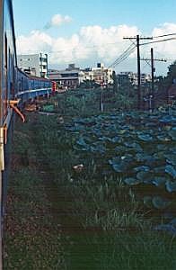 taiwan1983_151