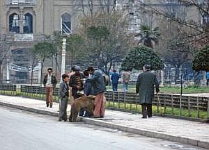 istanbul1978_130ausschn