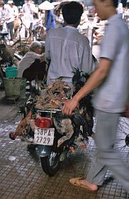 Saigon: Markt Ben Thanh, Geflgeltransport