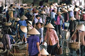 Nha Trang: Fischmarkt