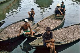 Nha Trang: Boote am Fischmarkt mit 'Nuoc-Mam-Fischchen'