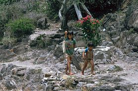 Insel Hon Mieu: Kinder