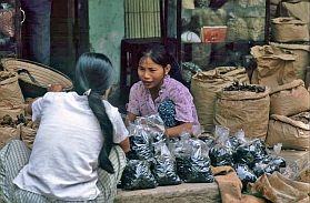 Hanoi-Altstadt: Hndler traditioneller Medizin
