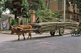 Hanoi: Bambus-Transport