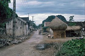Dorf bei Hoa Lu