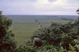 Reisfelder im Delta des Roten Flusses