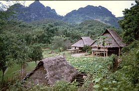 Hoa Binh: Huser der Muong