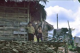 Haus der Weien Thai, Kinder