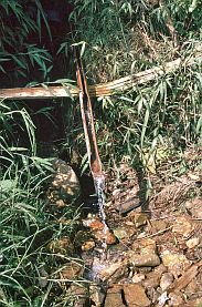 Sa Pa: Wasserleitung mit Bambusrhren